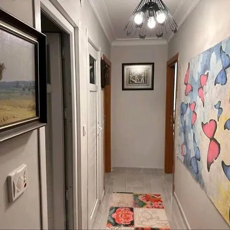 Sik Tasarimli Aile Evi Provincia di Istanbul